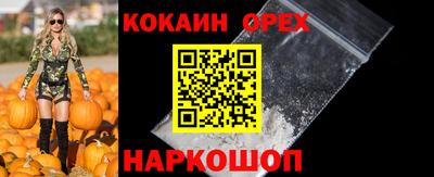 стаф Будённовск