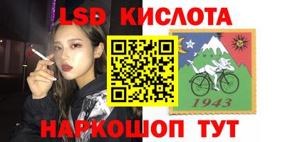 стаф Будённовск